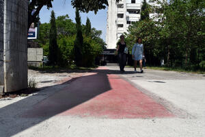 Stanari "Simpovke”  sačuvali palme ispred zgrade