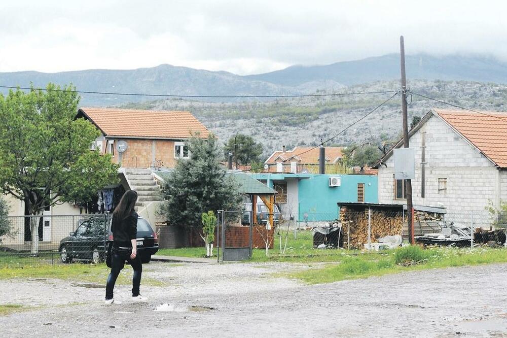 park šuma Zagorič, Foto: Arhiva Vijesti