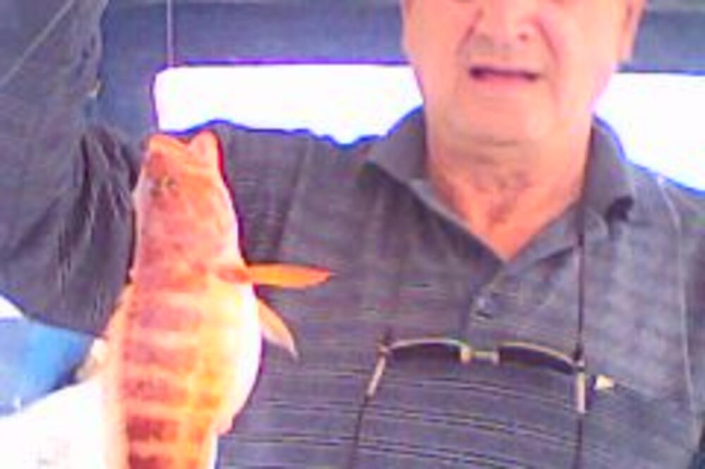 Goran Kovačević, Foto: UNA