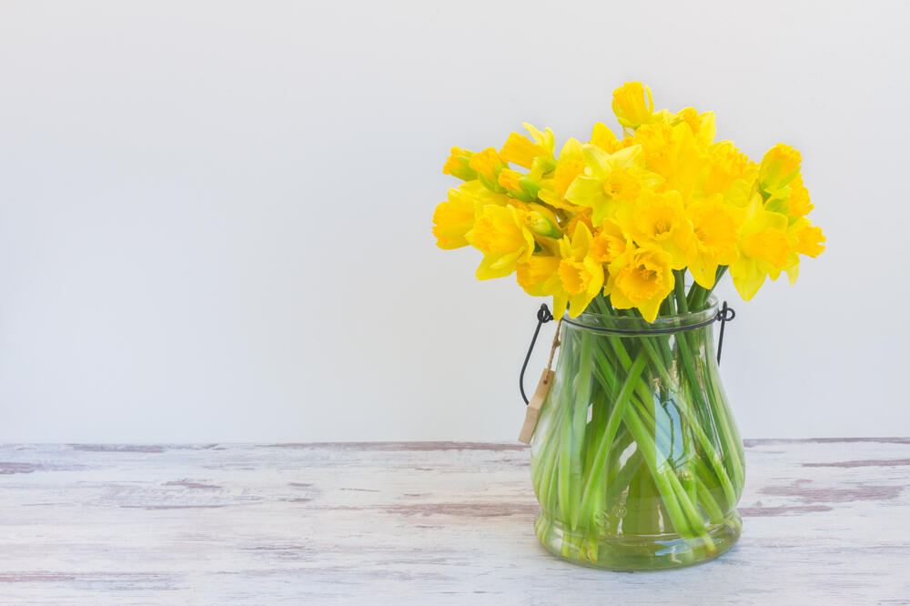 buket cvijeća, Foto: Shutterstock