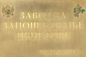 ZZZCG izdao Informator: Kako donijeti pravu odluku o izboru...