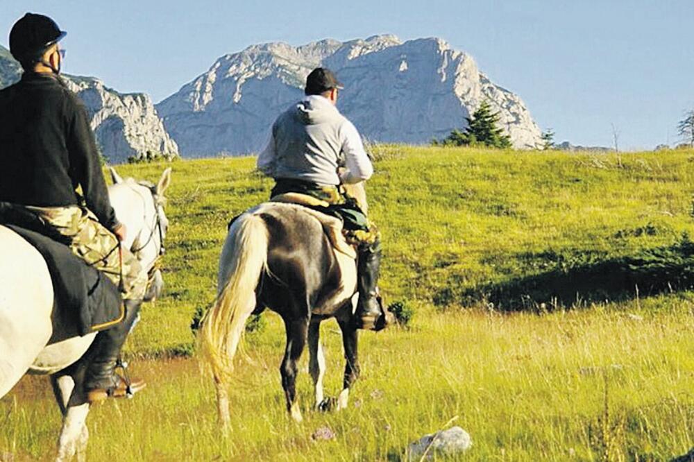 trka konja, konji, Foto: Arhiva "Vijesti"