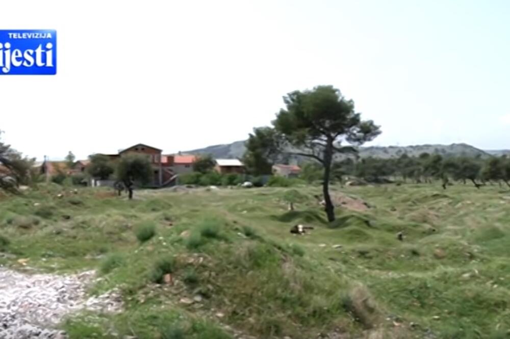Park šuma Zagorič, Foto: Screenshot (TV Vijesti)