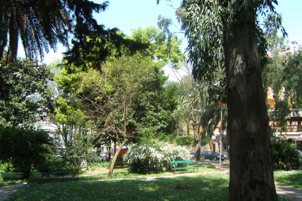 Herceg Novi park, Foto: Slavica Kosić