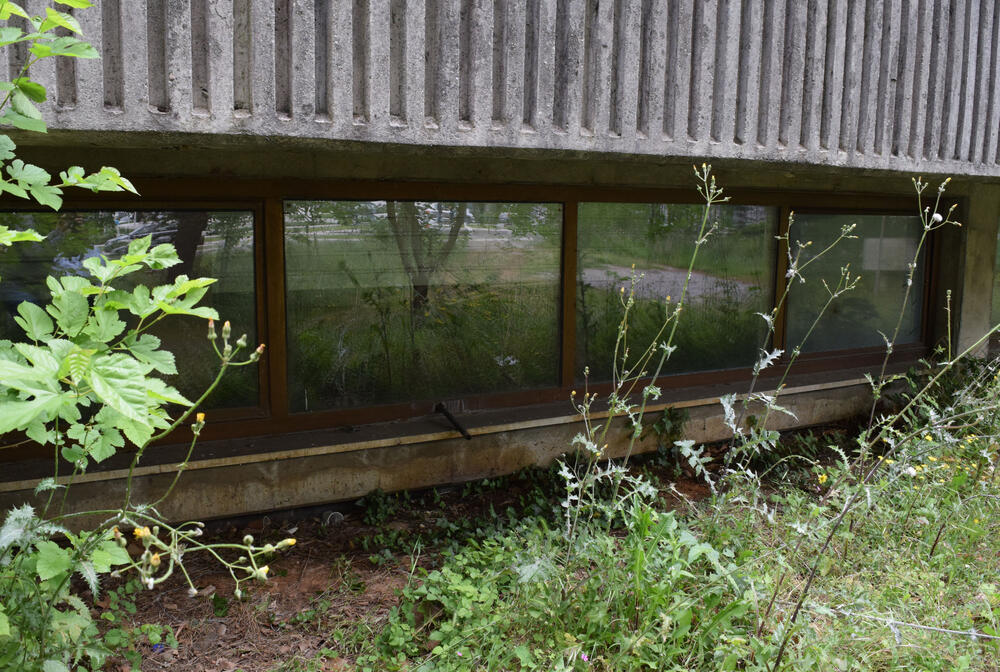 Atelje Boška Odalovića