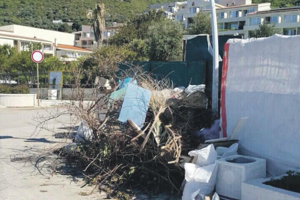 Petrovac smeće, Foto: Čitalac reporter