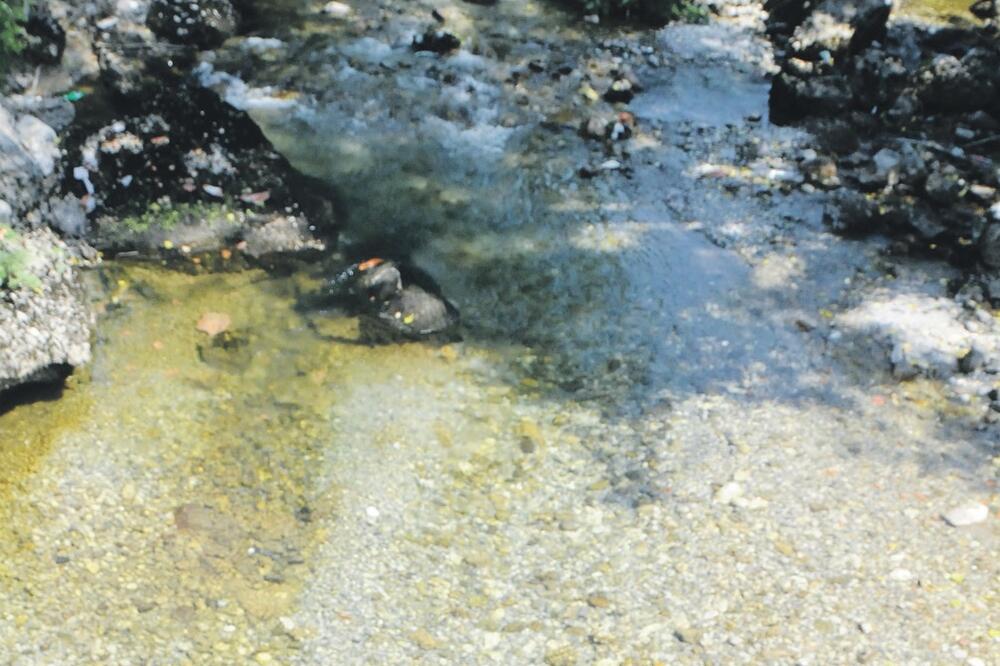 Ribnica, Foto: Luka Zeković