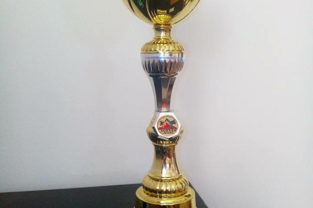 Trofej prijestonice u kik-boksu, Foto: Lična arhiva