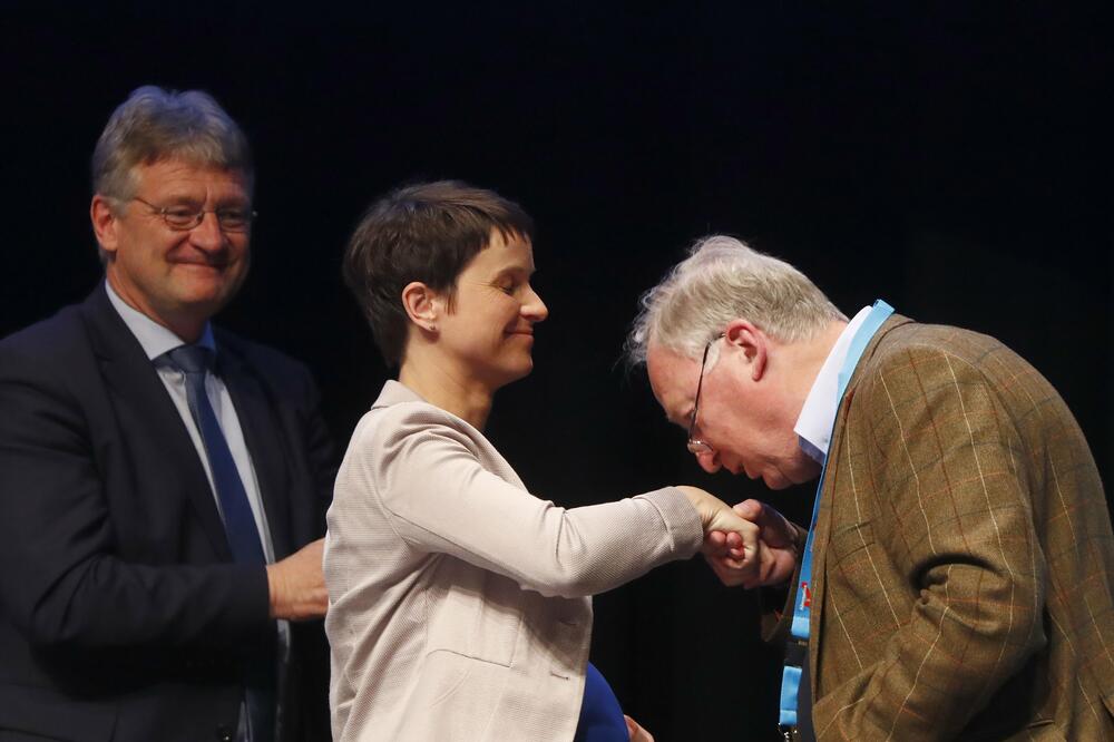 AfD, Foto: Reuters