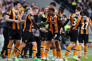 "Labudovi" i "tigrovi" vjeruju u opstanak