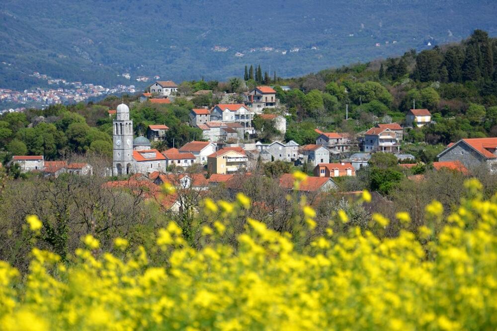Radovići, Tivat, Foto: Luštica Development