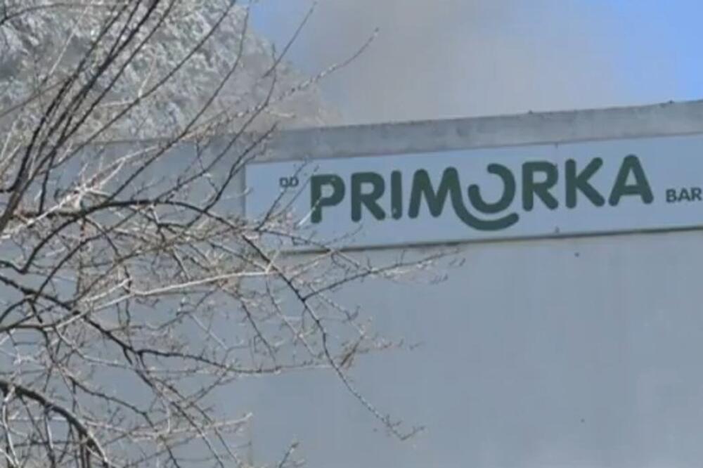 Primorka, Foto: TV Vijesti