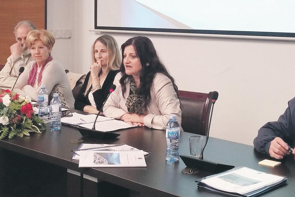 Elaborat o stanju arheoloških lokaliteta, predstavljanje, Foto: Siniša Luković