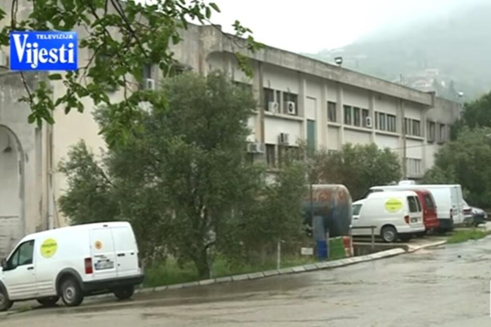 Primorka, Foto: Printscreen (YouTube)