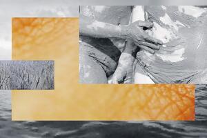 Elementi za ono što zovemo dom