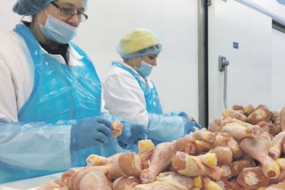 Piletina Salmonela, Foto: Dnevnik.hr