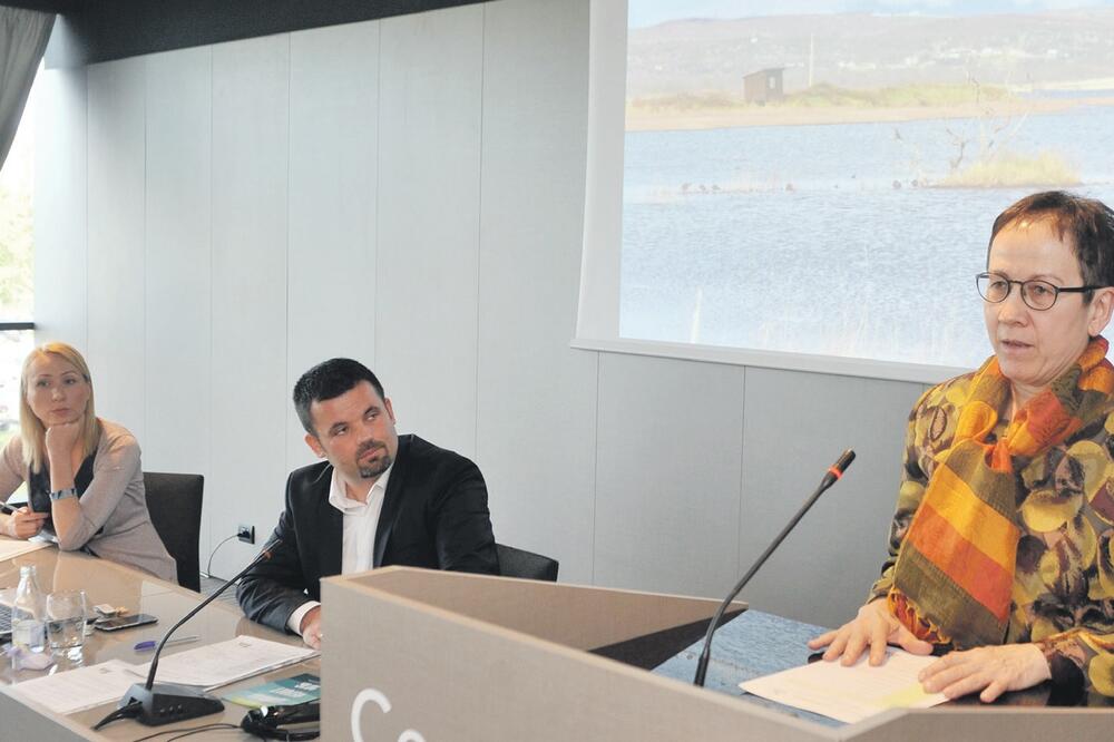 Štajnaker konferencija Solana, Foto: Savo Prelević