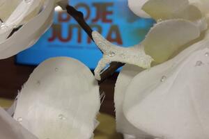 Boje jutra: O alimentaciji, Parkinsonovoj  bolesti...