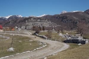 MANS: Popović namjestio tender vrijedan pet miliona eura?