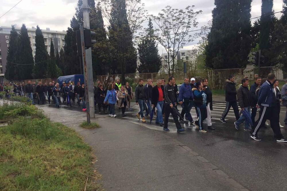 Park šuma Zagorič, protest, Foto: Borko Ždero