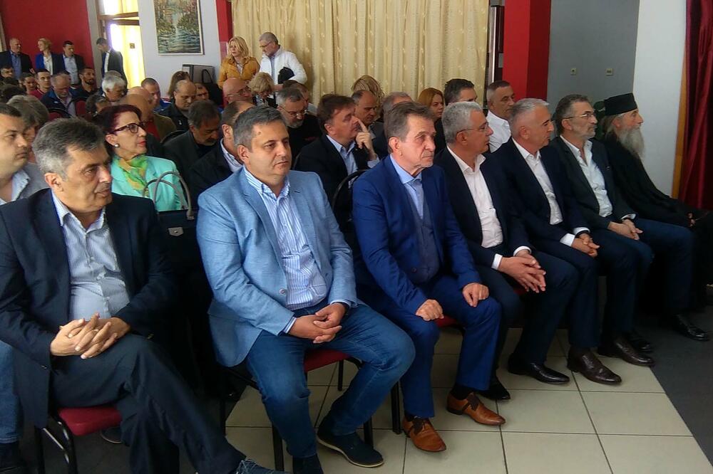 Nova srpska demokratija, Foto: Radomir Petrić