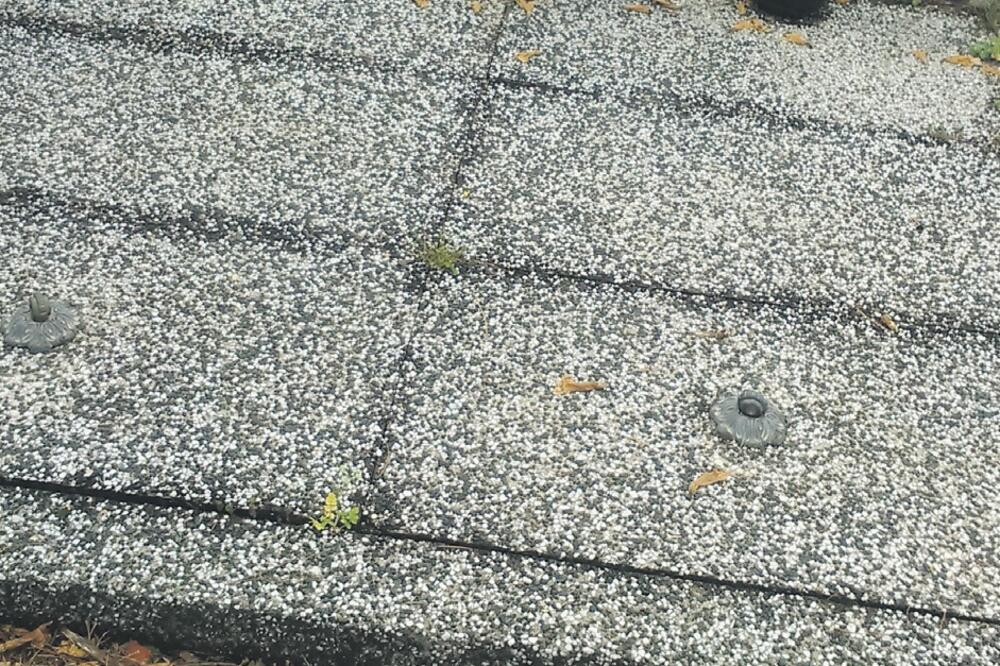 Grobovi, Foto: Privatna arhiva