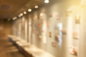 O liku i djelu čuvene  pacifistkinje