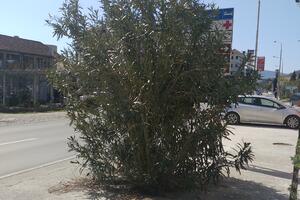 Herceg Novi: Uređuju informativne table