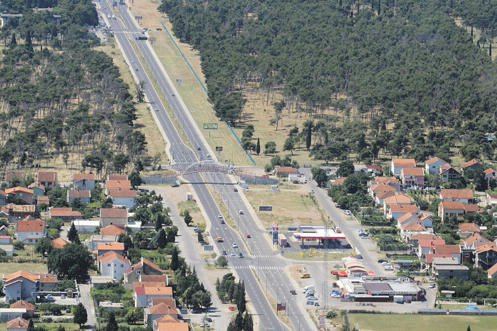 Zlatica, Foto: Savo Prelević