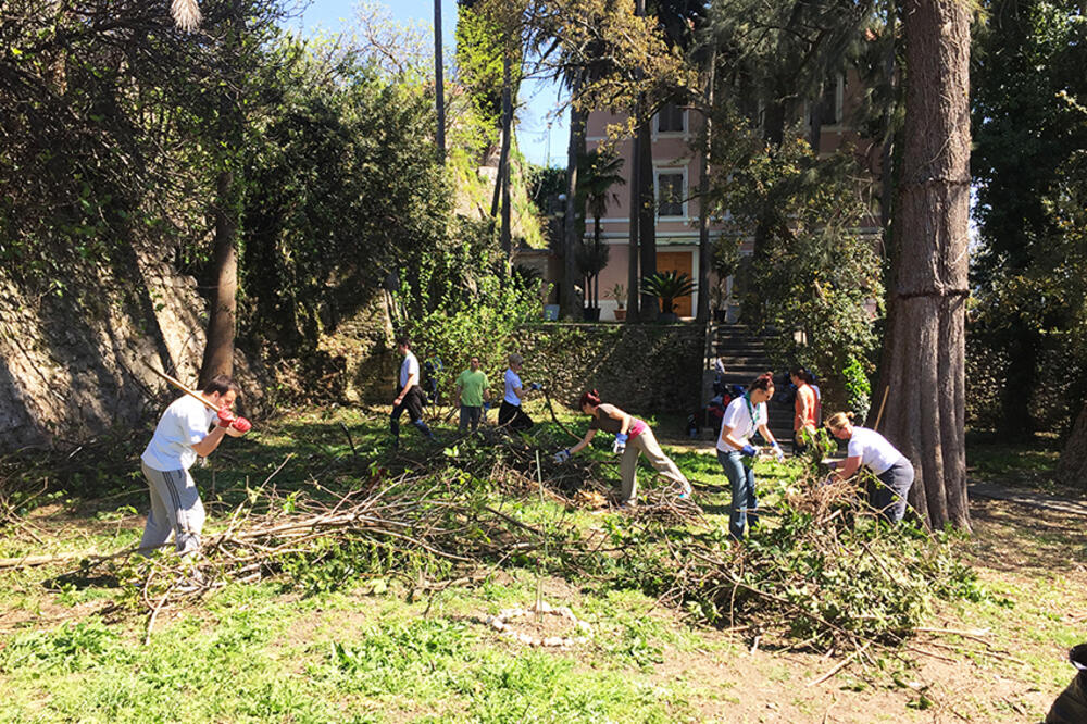 čišćenje, Herceg Novi, Foto: NVO Sinergija