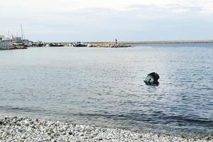 Zašto je kontejner završio u moru?