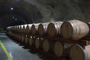 Dobit Plantaža u 2016. oko 2,3 miliona eura