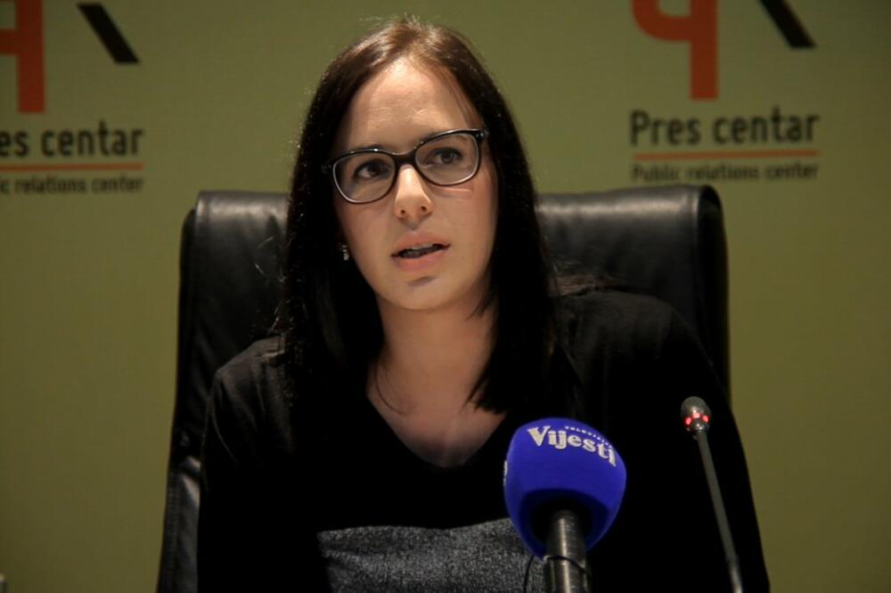 Aleksandar Vavić, Foto: Institut Alternativa