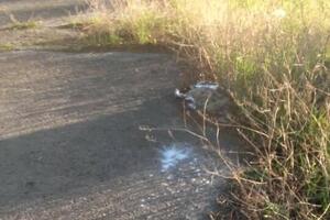 Vlahović: "Čistoća" nanosi štetu sama sebi, neradom, nezalaganjem...