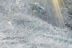 Alen Fejzić teško povrijeđen: Automobilom sletio u 30 metara...