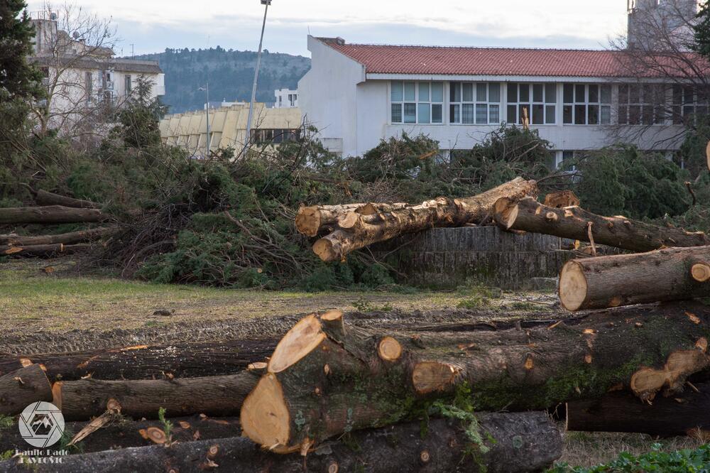 Uništeno dvorište u Baru, Foto: Danilo Pavlović