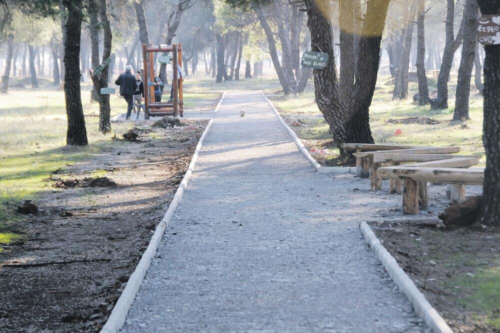 Ćemovsko polje, Foto: Luka Zeković
