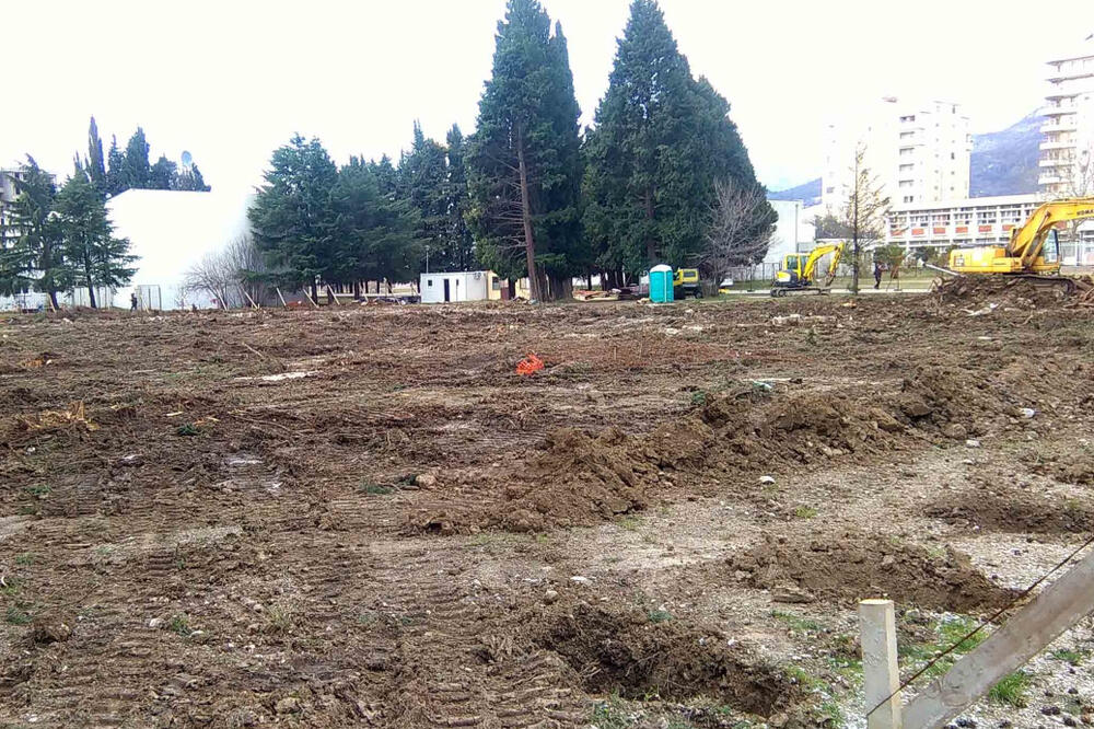 Park sravnjen, čempresi odnijeti, Foto: Radomir Petrić