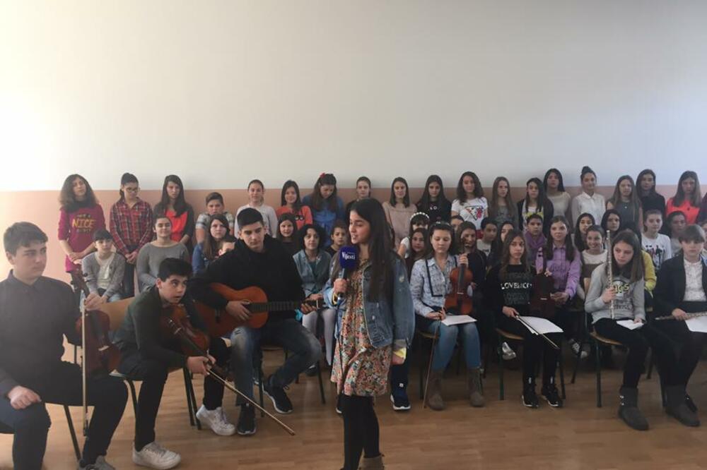 Pčelica, Foto: TV vijesti