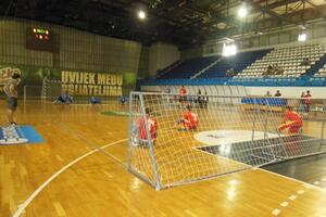 Crnogorski golbalisti na turniru u Tešnju