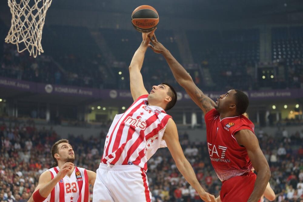 Bjelica, Foto: MNPress