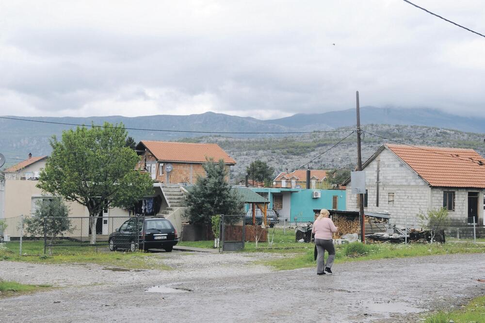 Park šuma u Zagorič, Foto: Zoran Đurić
