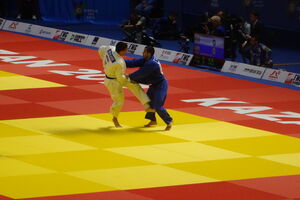 Gren slem u Bakuu: Mrvaljević stao na prvoj prepreci