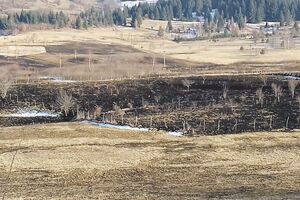 Pale livade da gljive bolje rode