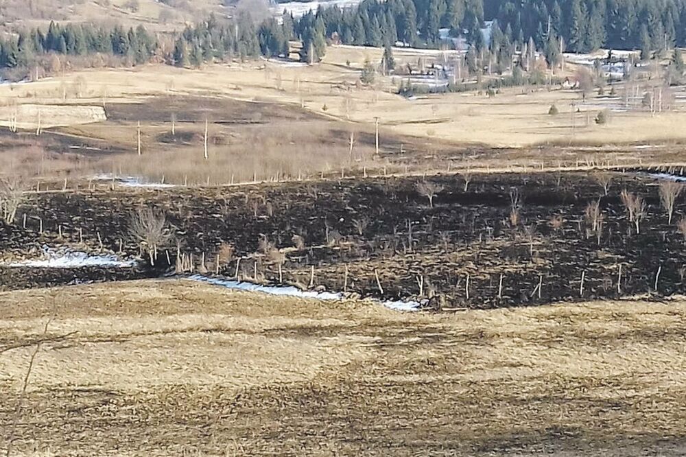 Paljevina Mataruge, Foto: NVO Breznica