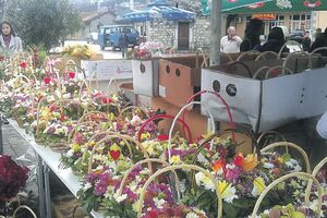 Ruže od jednog do 2,5 eura