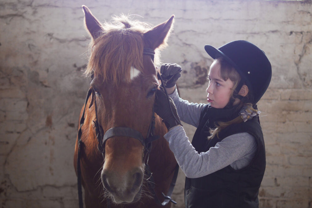 jahanje, Foto: Shutterstock