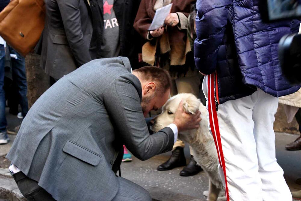 Saša Janković, Foto: Betaphoto