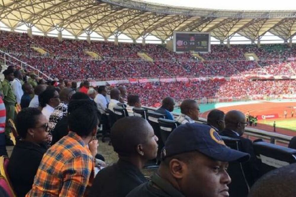 navijači, Foto: Twitter