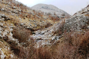 Ljubavni zov sove ušare na padinama Rumije